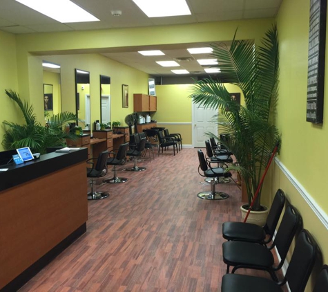 Lemon Tree, Your Family Hair Salon - Rocky Point, NY