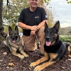 Justin Rigney Dog Training gallery