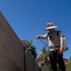 Sandstorm Pest Control gallery