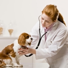 PawMed - Veterinary Urgent Care