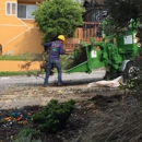 JC Tree Care & Landscape - Tree Service