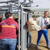 Colorado Academy of Veterinary Technology gallery