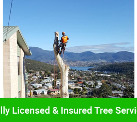 Horizon Tree Service - Brighton, TAS. Fully Licensed & Insured Tree Service