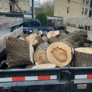 Northern Lakes Tree Service