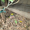 Pest Control PESPRO gallery