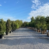 Moon Valley Nurseries gallery