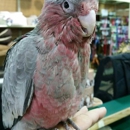 Skyway Feed and Pet Supply Inc - Pet Stores