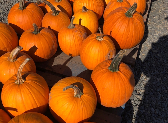 Stony Hill Farm Market - Chester, NJ