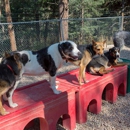Canine's Canyon - Pet Boarding & Kennels
