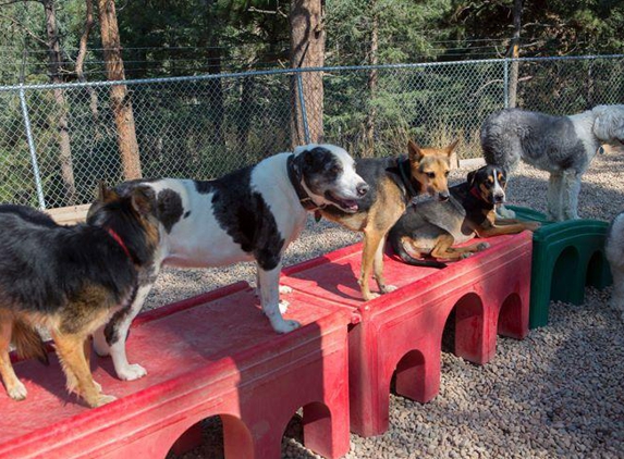 Canine's Canyon - Golden, CO