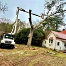 Big South Land & Tree