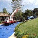 Best Crane Service Inc - Crane Service