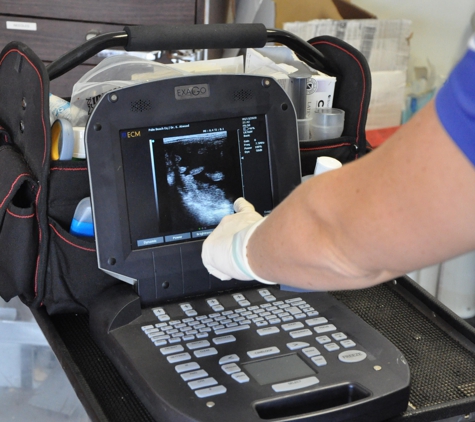 Palm Beach Equine Clinic - Wellington, FL