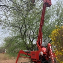 Absolute Tree Solutions - Tree Service