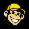 Trash Monkey Junk Removal & Hauling gallery