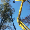 A+ Tree & Crane Services, Inc gallery