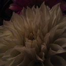 Salem Cross Inn - American Restaurants