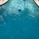Penguin Pools of Florida - Swimming Pool Repair & Service