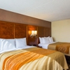 Comfort Inn gallery