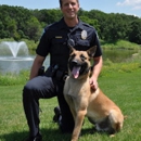 Minnesota Canine Solutions, LLC - Dog Training