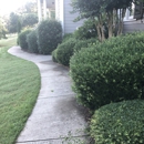 Nearby Lawn Care Fayetteville - Lawn Maintenance