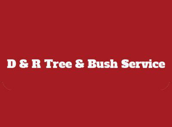 D  & R Tree & Bush Service - Petersburg, IL