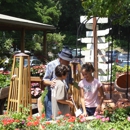 Reynolds Farm Nurseries - Garden Centers