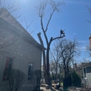 Tomax Tree Service