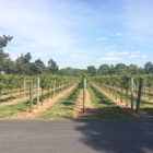 Buckingham Valley Vineyards