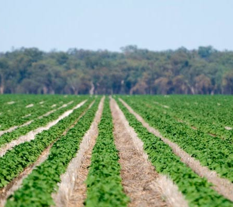 Agracom Pty Ltd - Gunnedah, NSW