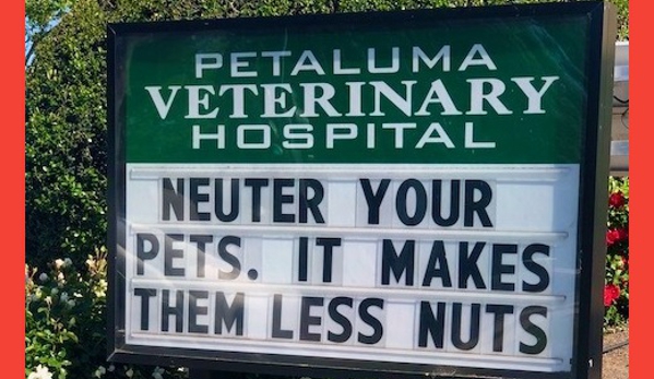 Petaluma Veterinary Hospital - Petaluma, CA. Neuter your Pets at Petaluma Veterinary Hospital