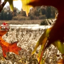 Sandy Ridge Reservation - Parks