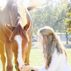 A and A FARMS EQUINE SPORTS CENTER