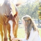 A and A FARMS EQUINE SPORTS CENTER