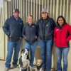 Equine Sports Medicine & Surgery gallery