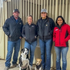 Equine Sports Medicine & Surgery