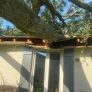 Heaven Sent Tree Service and Recovery - Arborists