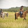 The Diamond P Ranch gallery