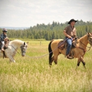 The Diamond P Ranch - Horse Boarding