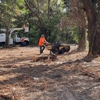 Mid-Florida Tree Service gallery