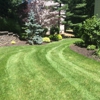 All County Lawn Care Tree & Shrub gallery