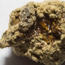 Starbuds - Holistic Practitioners