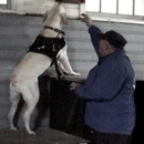 Expert Dog Bite Testimony - Dog Training