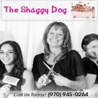 The Shaggy Dog