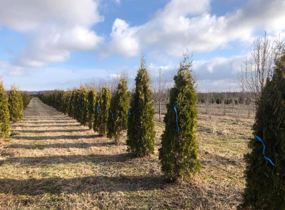 Paul Tree Farms - Pleasant Plains, IL