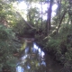 Beaman Park Nature Center