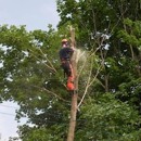 A-TON Tree & Debris
