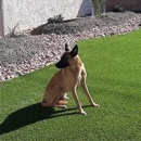 Havasu Turf Pros - Landscape Designers & Consultants