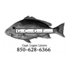 Gulf Coast Guide Fishing and Adventures gallery