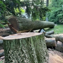 Arborpro LLC